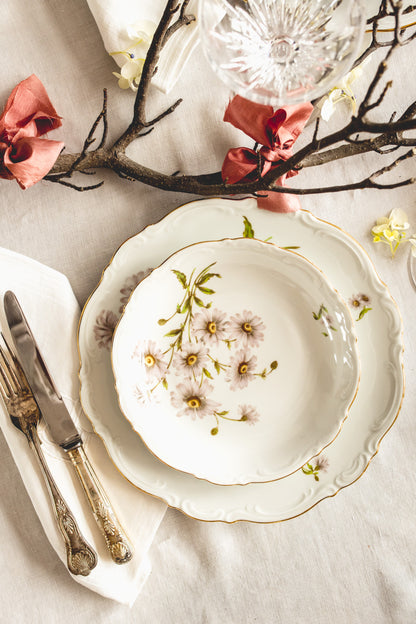 Beautiful 51 set of antique 'Daisy Bell' crockery from Bavaria, found in France.