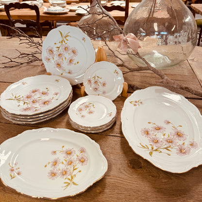 Beautiful 51 set of antique 'Daisy Bell' crockery from Bavaria, found in France.