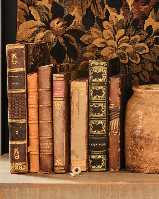 Antique French books bundle
