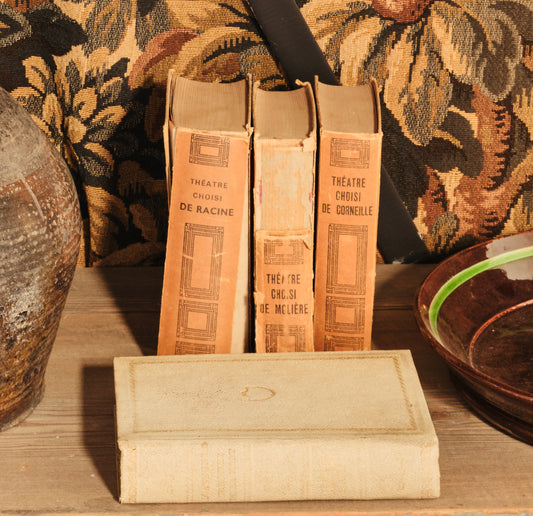 Antique French books bundle