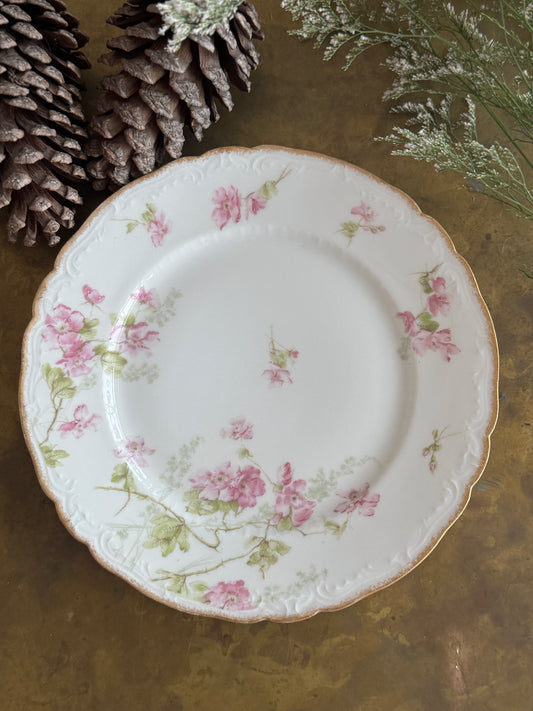 Elegant Antique French Plate in Holiday Gift Box – Perfect Christmas Present