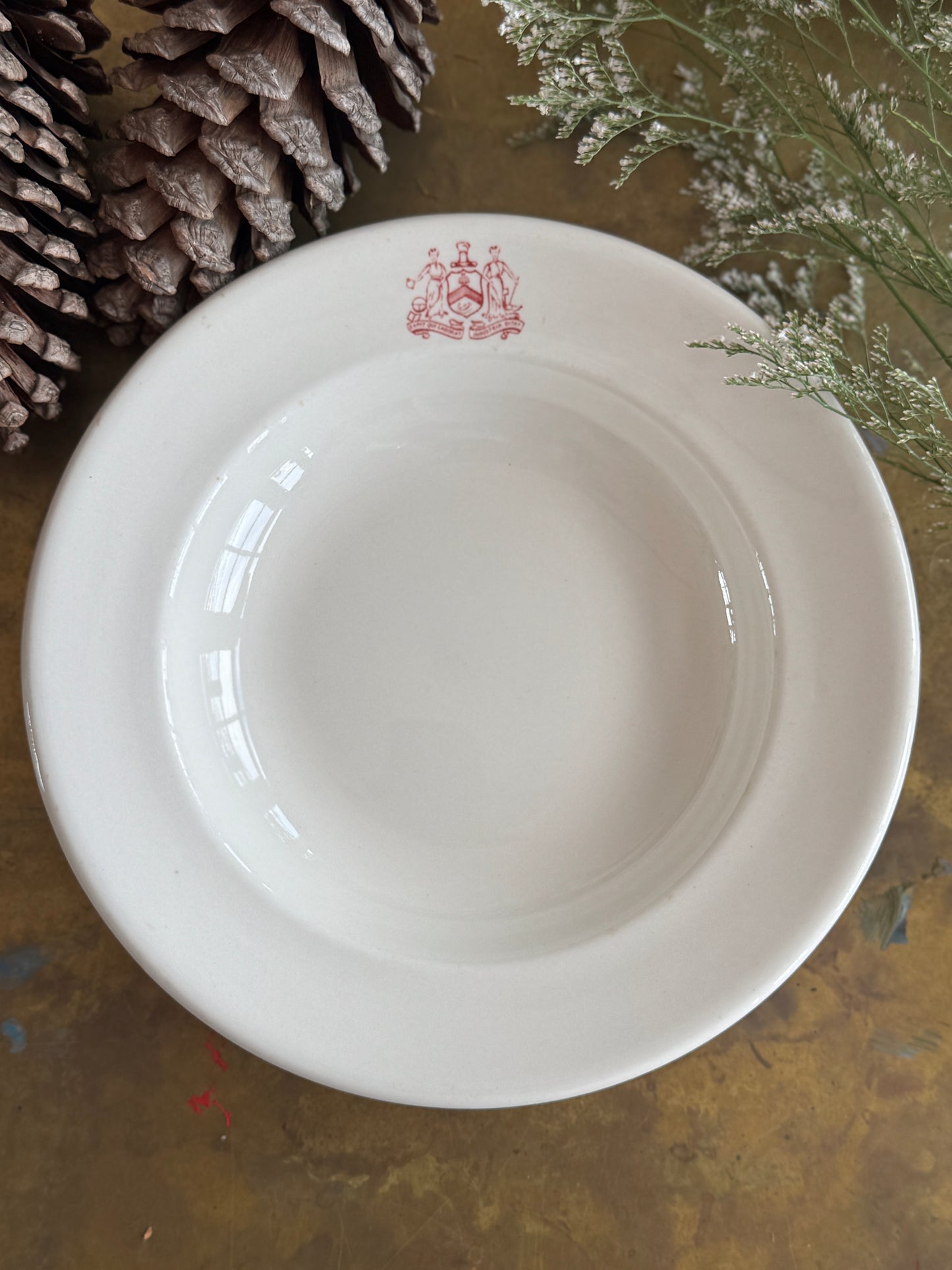 Elegant Antique English Plate in Holiday Gift Box – Perfect Christmas Present