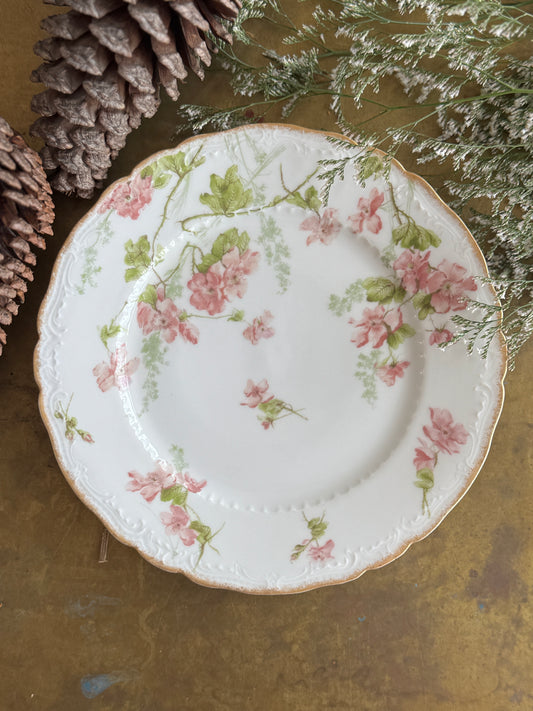 Elegant Antique French Dessert Plate in Holiday Gift Box – Perfect Christmas Present