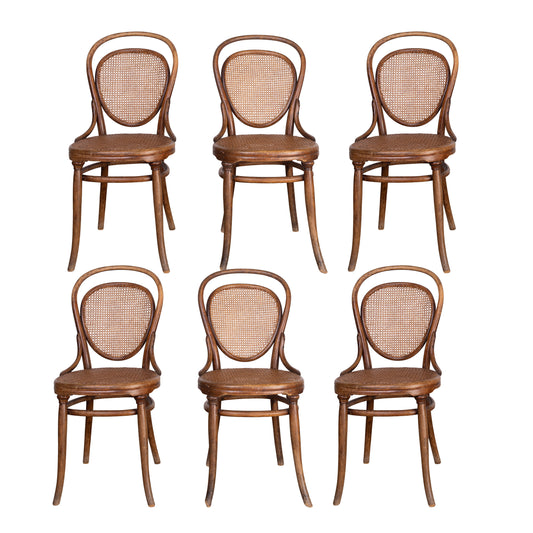 Set of 6 Antique French bentwood dining chairs with cane seats from Provence
