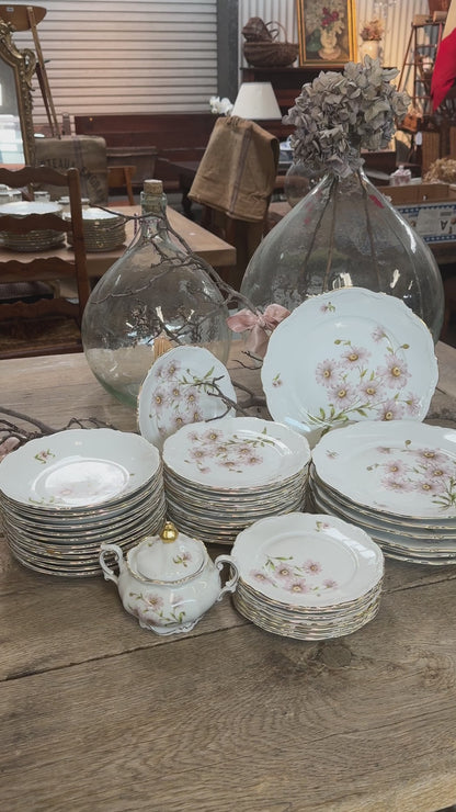 Beautiful 51 set of antique 'Daisy Bell' crockery from Bavaria, found in France.